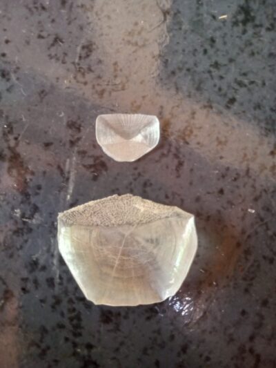 IMG_20251122_151629_750_HDR