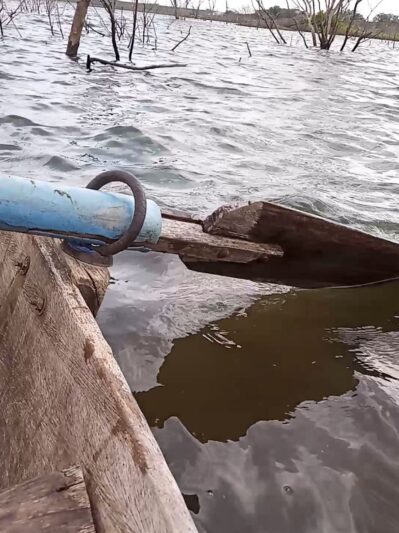 WhatsApp Image 2025-12-03 at 20.03.07