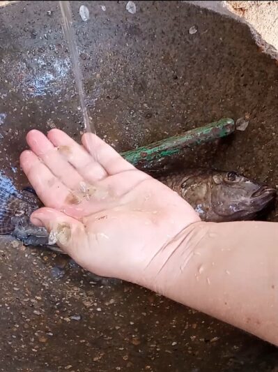 WhatsApp Image 2025-12-03 at 20.04.19